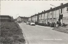KRUININGEN - Duiveneestraat