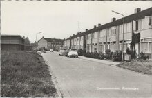 KRUININGEN - Duiveneestraat