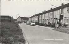 KRUININGEN - Duiveneestraat