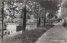 OOSTDIJK - Lavendeldijk