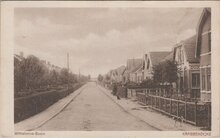 KRABBENDIJKE - Wilhelmina-Boom