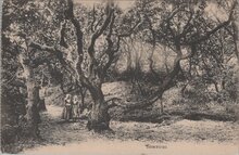 DOMBURG - Mantelingen. Meisjes in Klederdracht