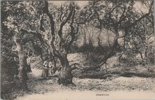 DOMBURG - Mantelingen. Meisjes in Klederdracht