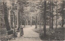 DOMBURG - Mantelingen