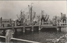 COLIJNSPLAAT - Vissershaven