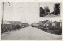 BRUINISSE - Dit bleef er van de bomenpracht aan de ingang van Bruinisse na de stormramp 1953 over