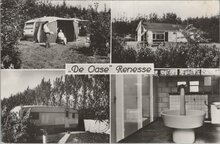 RENESSE - De Oase