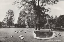 SOMEREN - Hertenkamp