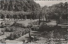 UITHUIZEN - Rozenpergola Park Menkema