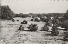 LOENEN (Vel.) - Zandverstuiving Loenermark