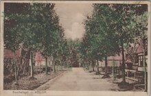 KOLLUM - Boschsingel