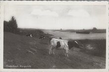 OOSTERBEEK - Rijngezicht