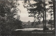 NIJVERDAL - Boschgezicht a. d. Bonteweg