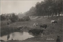 RITTHEM - Binnendijk