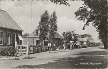 RENESSE - Hogezoom