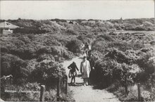 RENESSE - Duinovergang