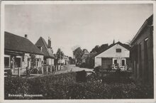 RENESSE - Hoogezoom
