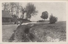 ST. MAARTENSDIJK - Steenenpad