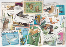 Birds Stamps Collection - 100 Different Stamps