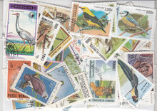 Birds Stamps Collection - 100 Different Stamps