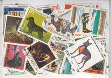 Dogs Stamps Collection - 100 Different Stamps