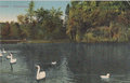 UTRECHT-Wilhelmina-Park