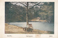 BAARN-Peningkom