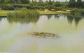 NIJMEGEN-Stadspark-de-Goffert