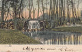 ARNHEM-Waterval-Sonsbeek