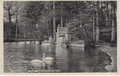 APELDOORN-Waterval-in-het-Koninklijk-Park