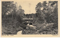 APELDOORN-Berg-en-Bos.-Tunnel