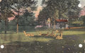 NIJMEGEN-Kronenburgerpark-Hertenkamp
