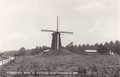 STEENDEREN-Molen-bij-Bronkhorst-na-de-restauratie-in-1960