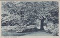 ZWOLLE-Park-Eekhout