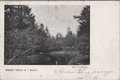 ZEIST-Vijver-in-t-Bosch