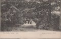 ZEIST-Door-het-Bosch