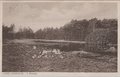 LAGE-VUURSCHE-t-Meertje