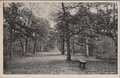 ZEIST-Laan-naar-De-Bal-in-t-Zeister-Bosch