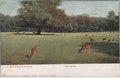 S-GRAVENHAGE-Hertenkamp