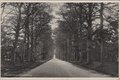 ZEIST-Woudenbergschestraatweg