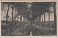 DRIEBERGEN-t-Lekkere-Watertje