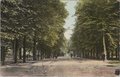 APELDOORN-Loolaan