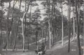ZEIST-Valleien-in-t-Zeister-Bosch