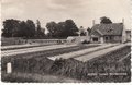 HEERDE-Tuinderij-Borchgraverweg