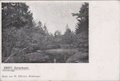 ZEIST-Zeisterbosch