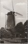 ULVENHOUT-Molen-De-Korenbloem