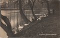 ARNHEM-Lauwersgracht