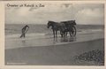 KATWIJK-AAN-ZEE-Schelpenvisscher