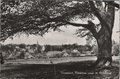 GROESBEEK-Panorama-vanaf-de-Wolfsberg