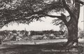 GROESBEEK-Panorama-vanaf-de-Wolfsberg